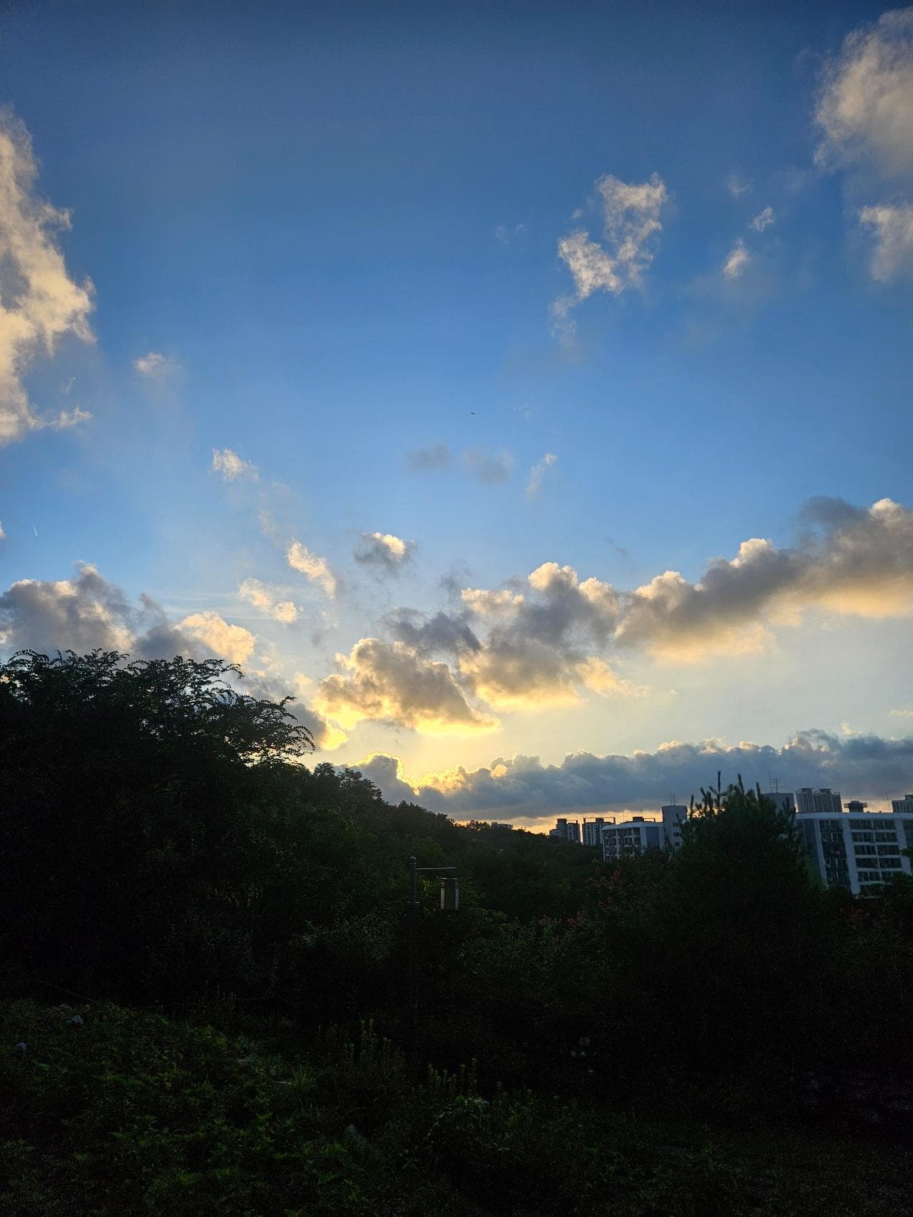 결제 테스트